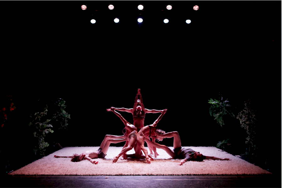 excerpt from 3: The Garden - Nicole Beutler